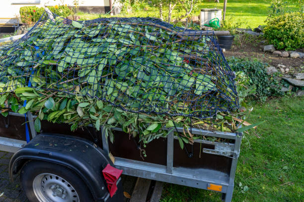 Best Shed Removal  in USA